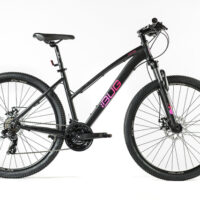 BICICLETA LADY BUG 21.1