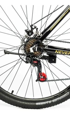 BICICLETA R29 GRAVITY LOWRIDER 21 VEL - Image 9